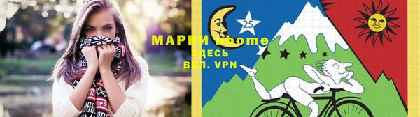 МДПВ Алексеевка