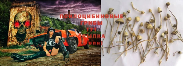 а пвп мука Алзамай