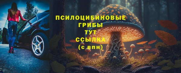 МДПВ Алексеевка
