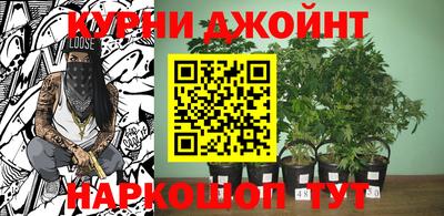 PSILOCYBIN Можга