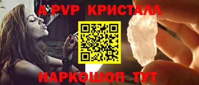 PSILOCYBIN Можга