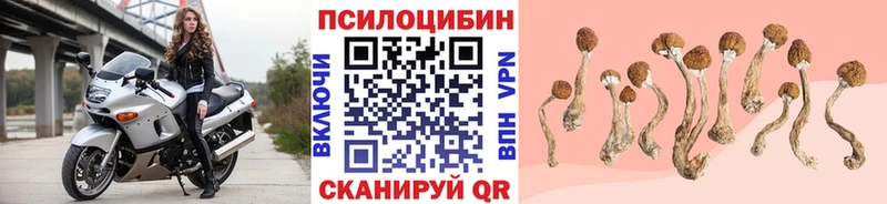 Псилоцибиновые грибы Magic Shrooms  наркотики  Усинск 