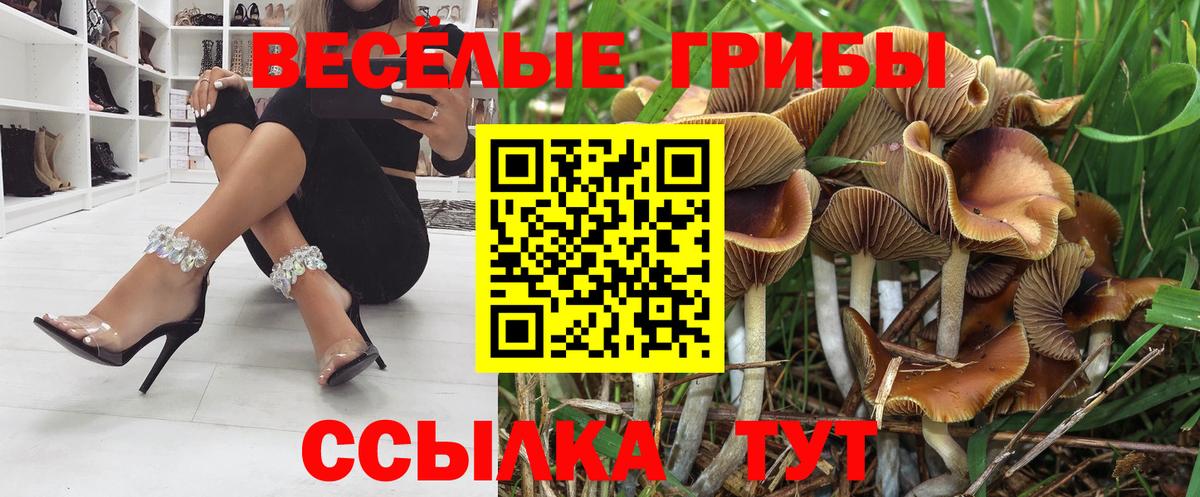 Усинск  Псилоцибиновые грибы Cubensis  Вход с VPN 
